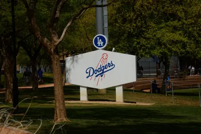 DSC_1510 (Large).JPG